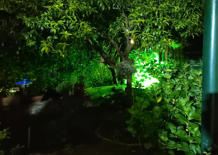 Villa dei fiori B&B Capri